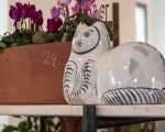 Toepfermarkt2015_073